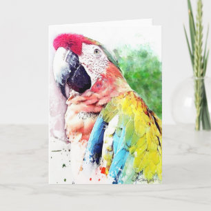 Macaw Blank Grußkarte Karte
