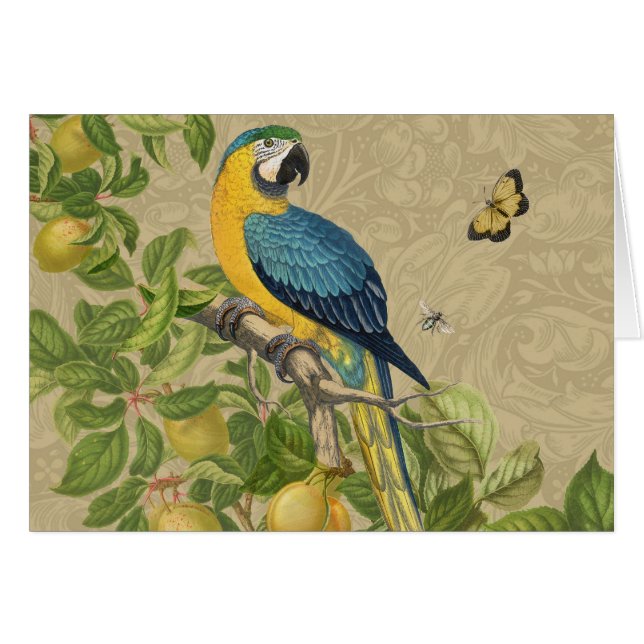 Macaw Blue Yellow Tropical Dschungel Antique (Vorderseite (Horizontal))