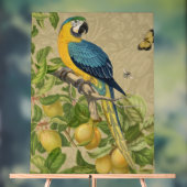 Macaw Blue Yellow Tropical Dschungel Antique Acrylschild (Neutral)