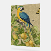 Macaw Blue Yellow Tropical Dschungel Antique Acrylschild (Winkel)