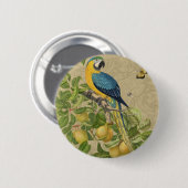 Macaw Blue Yellow Tropical Dschungel Antique Button (Vorne & Hinten)