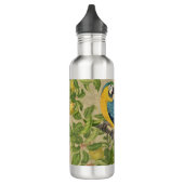 Macaw Blue Yellow Tropical Dschungel Antique Edelstahlflasche (Links)