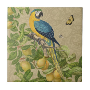Macaw Blue Yellow Tropical Dschungel Antique Fliese