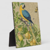Macaw Blue Yellow Tropical Dschungel Antique Fotoplatte (Seite)