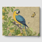 Macaw Blue Yellow Tropical Dschungel Antique Gästebuch (Rückseite)