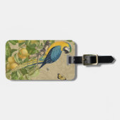 Macaw Blue Yellow Tropical Dschungel Antique Gepäckanhänger (Vorderseite horizontal)