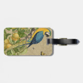 Macaw Blue Yellow Tropical Dschungel Antique Gepäckanhänger (Rückseite horizontal)