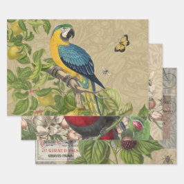 Macaw Blue Yellow Tropical Dschungel Antique Geschenkpapier Set