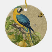 Macaw Blue Yellow Tropical Dschungel Antique Keramik Ornament (Vorne)