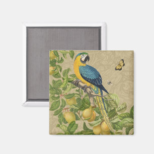 Macaw Blue Yellow Tropical Dschungel Antique Magnet