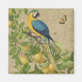 Macaw Blue Yellow Tropical Dschungel Antique Magnet (Vorne)