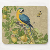 Macaw Blue Yellow Tropical Dschungel Antique Mousepad (Vorne)