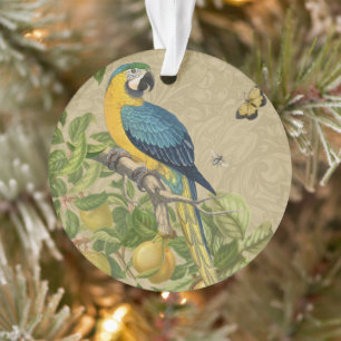 Macaw Blue Yellow Tropical Dschungel Antique Ornament