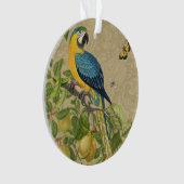 Macaw Blue Yellow Tropical Dschungel Antique Ornament (Vorderseite)