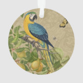 Macaw Blue Yellow Tropical Dschungel Antique Ornament (Rückseite)