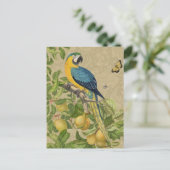 Macaw Blue Yellow Tropical Dschungel Antique Postkarte (Stehend Vorderseite)