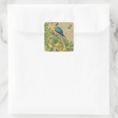 Macaw Blue Yellow Tropical Dschungel Antique Quadratischer Aufkleber (Tasche)
