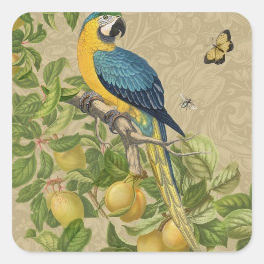 Macaw Blue Yellow Tropical Dschungel Antique Quadratischer Aufkleber (Vorderseite)