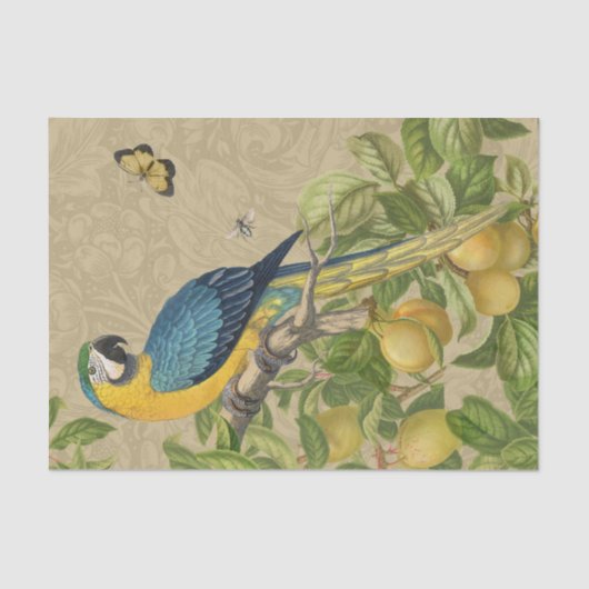 Macaw Blue Yellow Tropical Dschungel Antique Seidenpapier (Vorderseite)