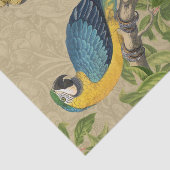 Macaw Blue Yellow Tropical Dschungel Antique Seidenpapier (Ausschnitt)