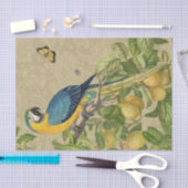 Macaw Blue Yellow Tropical Dschungel Antique Seidenpapier (Handwerk)