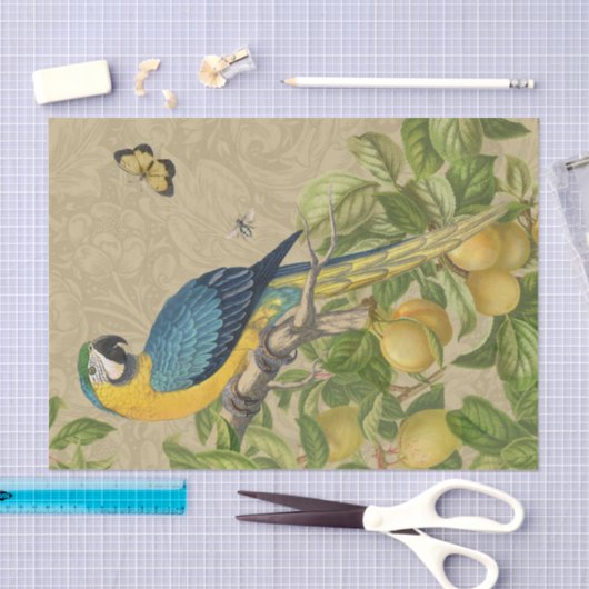 Macaw Blue Yellow Tropical Dschungel Antique Seidenpapier (Handwerk)