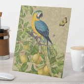 Macaw Blue Yellow Tropical Dschungel Antique Sockelschild (In Situ)