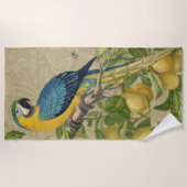 Macaw Blue Yellow Tropical Dschungel Antique Strandtuch (Vorderseite)