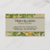 Macaw Blue Yellow Tropical Dschungel Antique Visitenkarte (Rückseite)