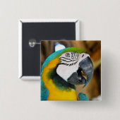 Macaw Button (Vorne & Hinten)