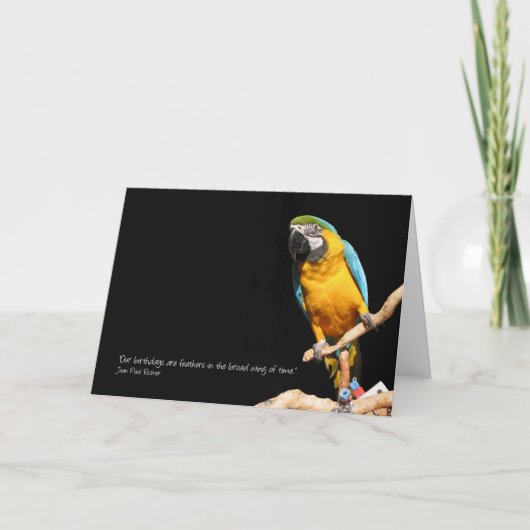Macaw Card für Jeder Anlass Karte (Vorderseite)