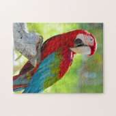 Macaw, der auf Niederlassung sitzt Puzzle (Horizontal)