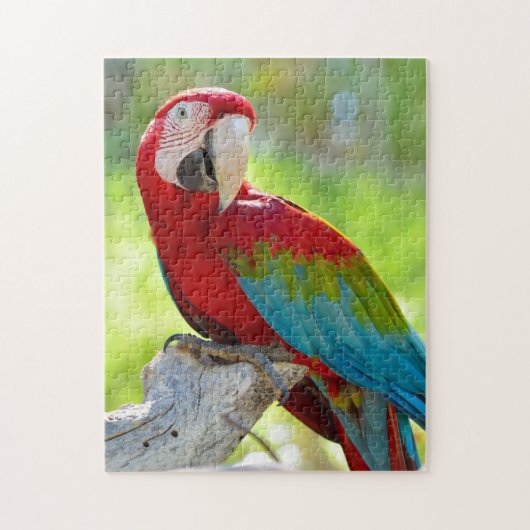 Macaw, der auf Niederlassung sitzt Puzzle (Vertikal)