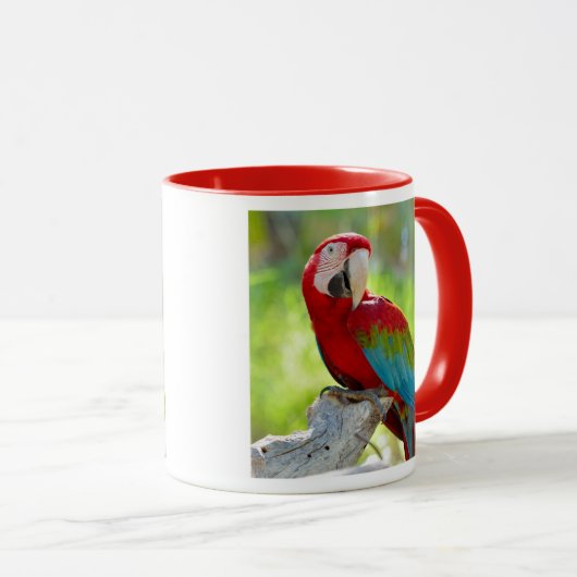 Macaw, der auf Niederlassung sitzt Tasse (VorderseiteRechts)