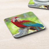 Macaw, der auf Niederlassung sitzt Untersetzer (Linke Seite)