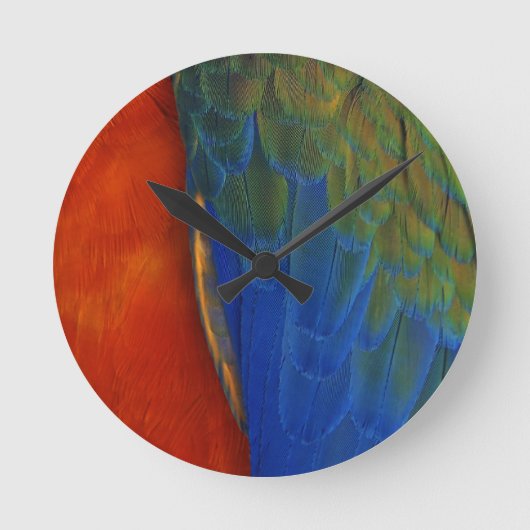 Macaw Feathers Runde Wanduhr (Vorderseite)