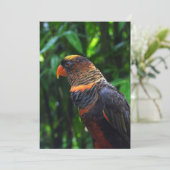 Macaw Feiertagskarte (Stehend Vorderseite)