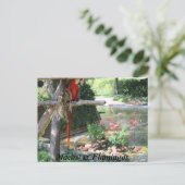 Macaw & Flamingos Postkarte (Stehend Vorderseite)