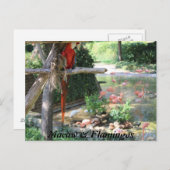 Macaw & Flamingos Postkarte (Vorne/Hinten)