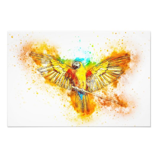 Macaw Fotodruck (Vorne)