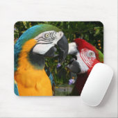 Macaw-Freunde Mousepad (Mit Mouse)