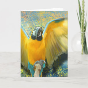 Macaw Grußkarte Karte
