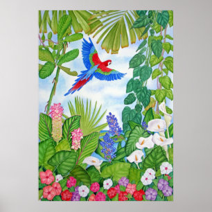 Macaw im Flug Poster