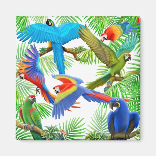 Macaw Jungle Magnet (Vorne)