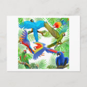 Macaw Jungle Postcard Postkarte (Vorderseite)