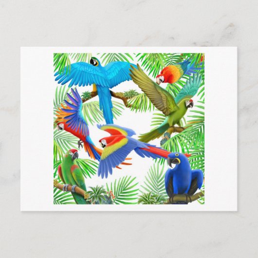 Macaw Jungle Postcard Postkarte (Vorderseite)