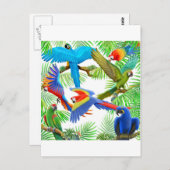 Macaw Jungle Postcard Postkarte (Vorne/Hinten)