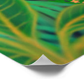 Macaw Jungle Poster (Ecke)