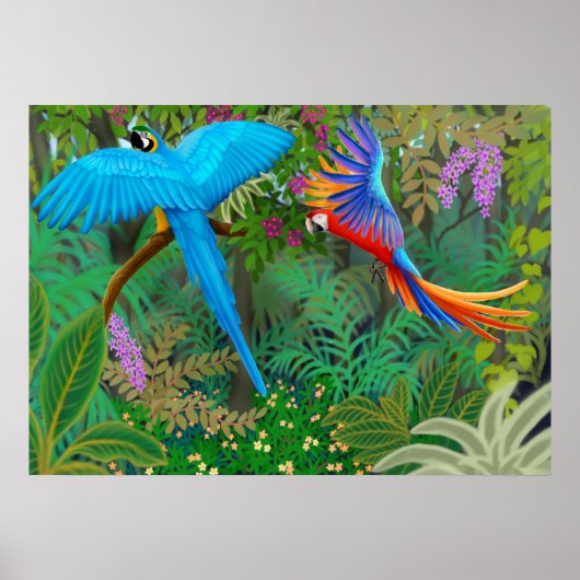 Macaw Jungle Poster (Vorne)