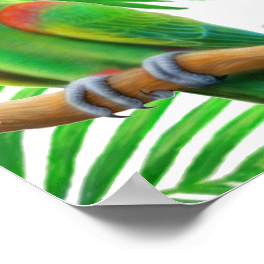 Macaw Jungle Poster (Ecke)